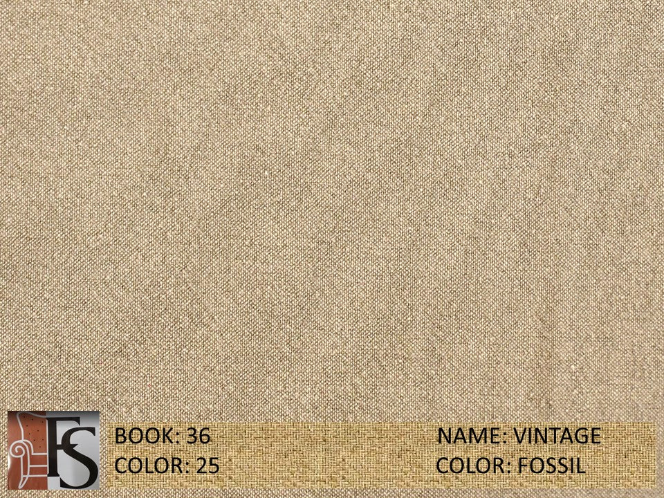 Vintage Fossil