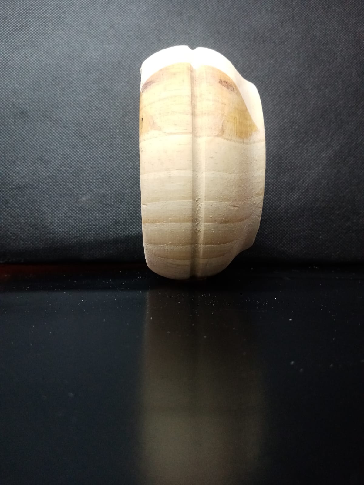 Wooden Leg - Double Rim Bun   - Furniture Leg