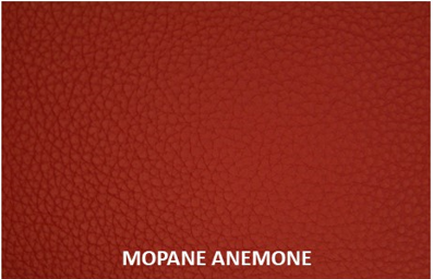 Mopane Anemone  Genuine Leather